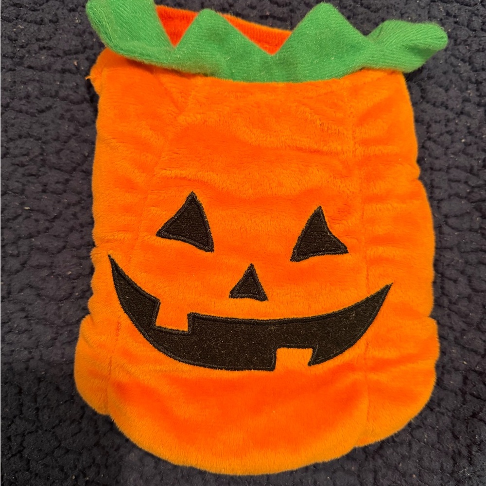 Pumpkin Costume